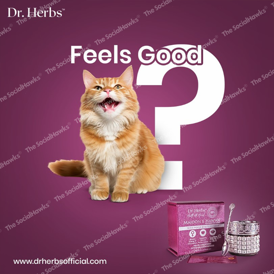 Dr Herbs Majoon E Hawwa feels good ad with happy orange cat on purple background